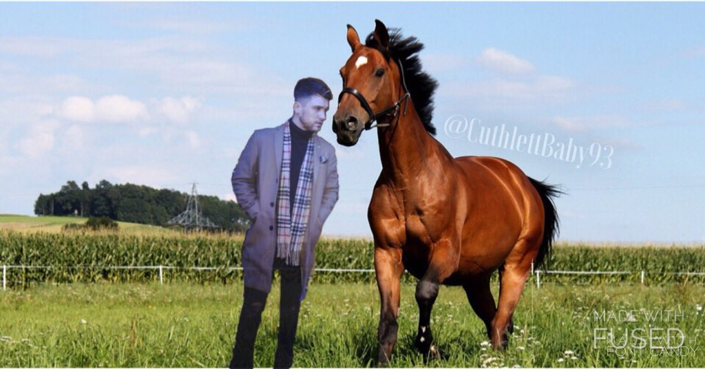 Cuthlettbaby93's tweet image. Just playing around with photos :) ... 

I definitely prefer the sunset 1 better haha 
#JJHamblett #Horses #ExJockey #UnionJ 

@JJHamblett @UnionJworld