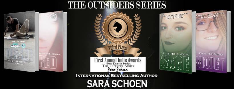 Image result for The Outsiders Sara Schoen