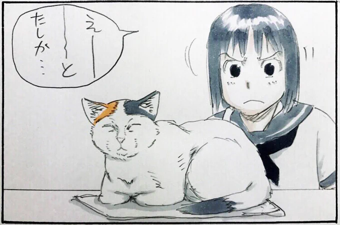 『置き物』 