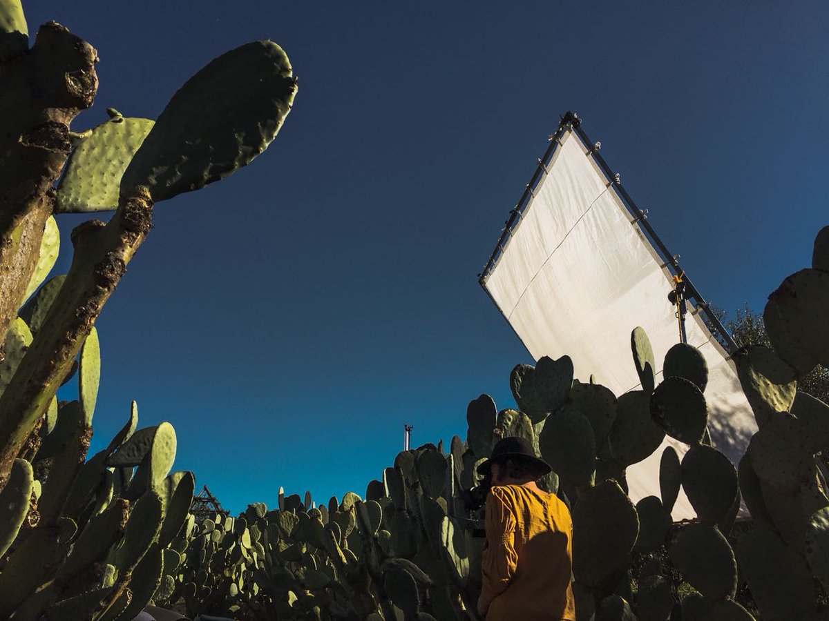 agentemma's tweet image. What an amazing day spent in the gardens of @babylonstoren shooting for @houseleisureSA We had to showcase #lifesasascrim