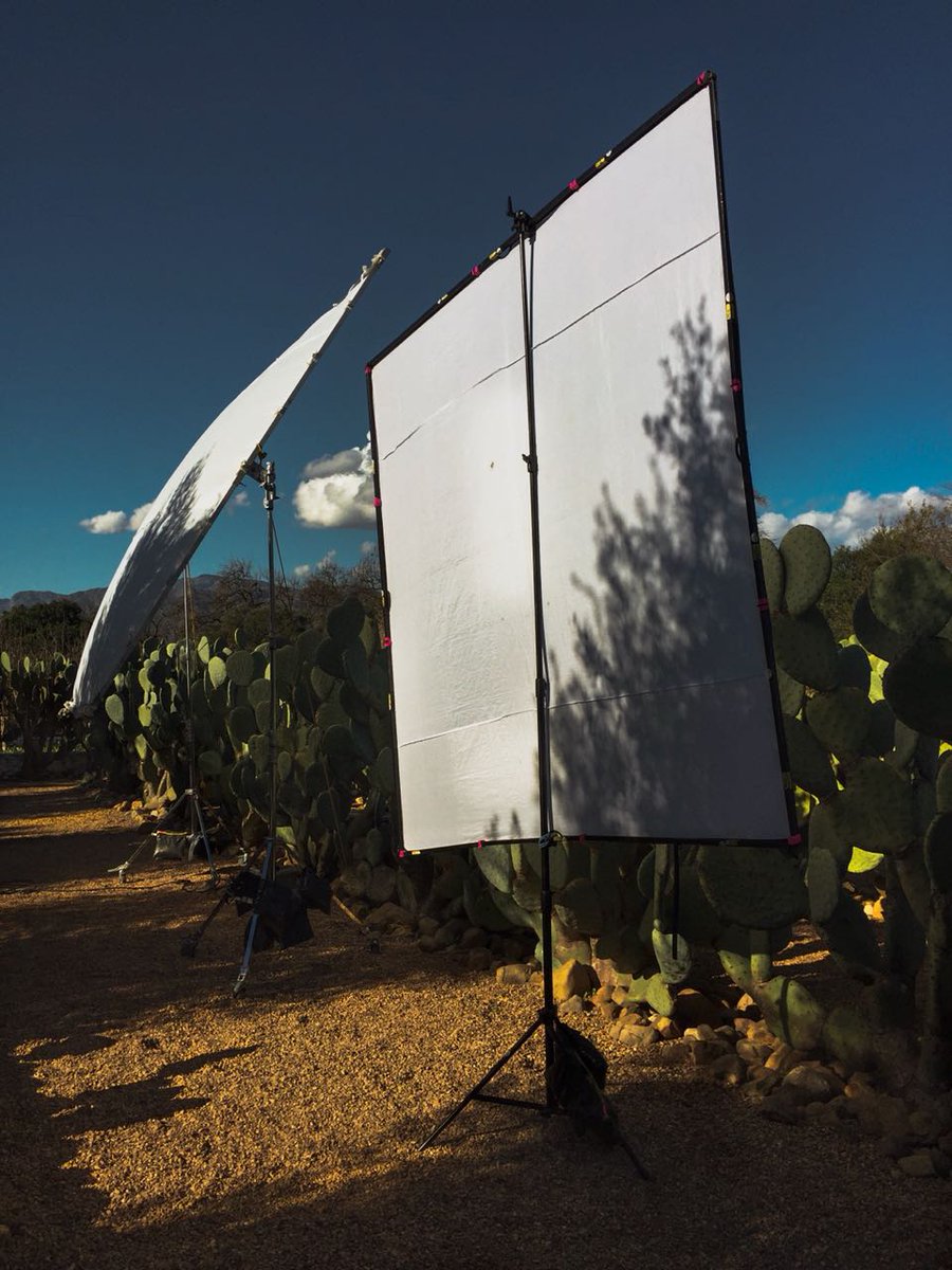 agentemma's tweet image. What an amazing day spent in the gardens of @babylonstoren shooting for @houseleisureSA We had to showcase #lifesasascrim