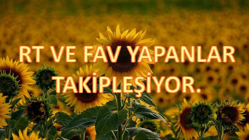 _tekirdag's tweet image. ⭐Hızlı Takipçi Kazan⭐
✅@_tekirdag_ ✅
#takipedenitakipederim
#takipedentakipedilir
#takibetakip
#anındatakip
#GeriTakip
#garantilitakip
#garantitakip 
#Takipleselim
#takipet
#takiptreni
#TakipClub
#KarsılıklıTakip
#FollowBack
#Takip
💯Rt ve Fav yapanlar takipleşiyor. 💯