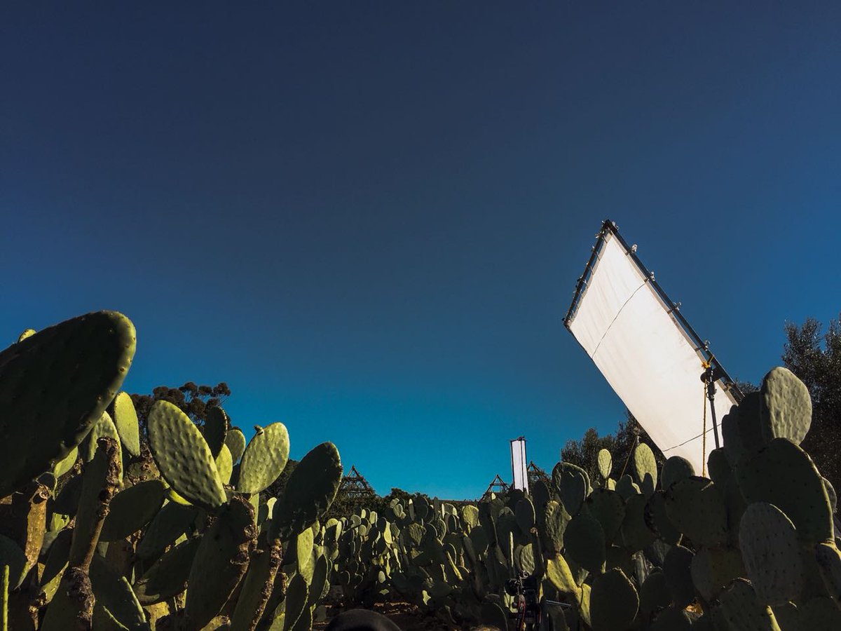 agentemma's tweet image. What an amazing day spent in the gardens of @babylonstoren shooting for @houseleisureSA We had to showcase #lifesasascrim