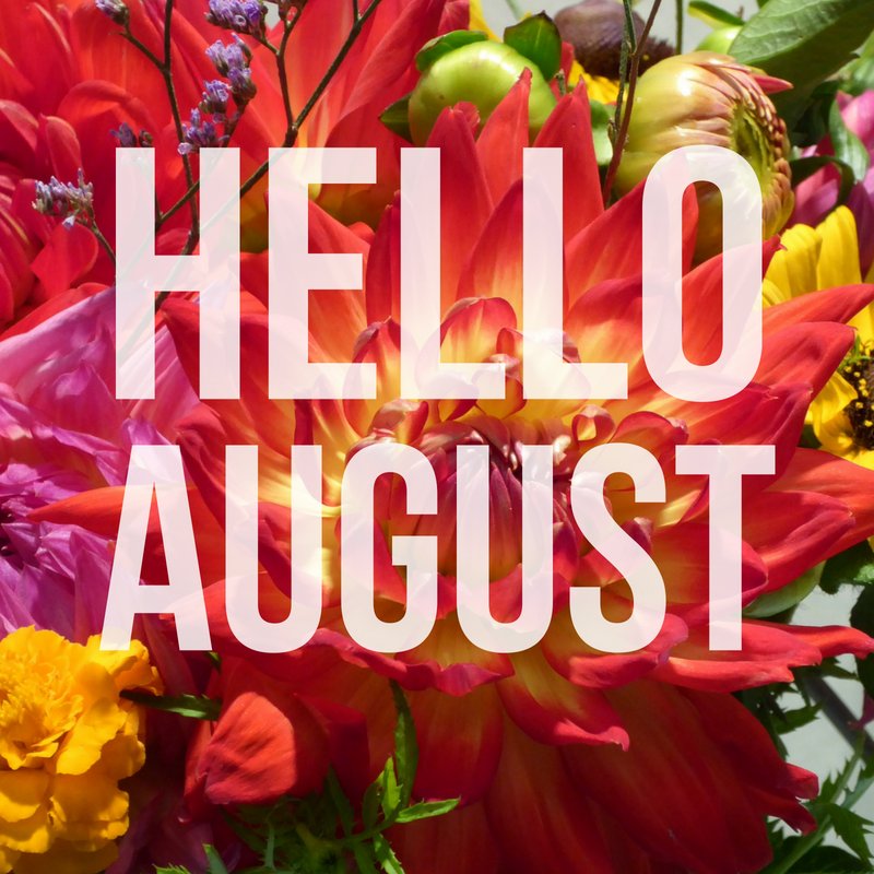 MartinDentists's tweet photo. Hello August! Make it count, and keep on smiling these last days of summer. https://t.co/6dD1wOkuNd