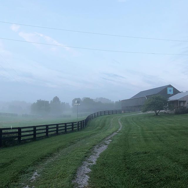 crazysheeplady's tweet photo. That’s two!
#augustfog #snow #snowprediction #farmersalmanac https://t.co/wiEuh4Ycse https://t.co/zqTTVfvdHg