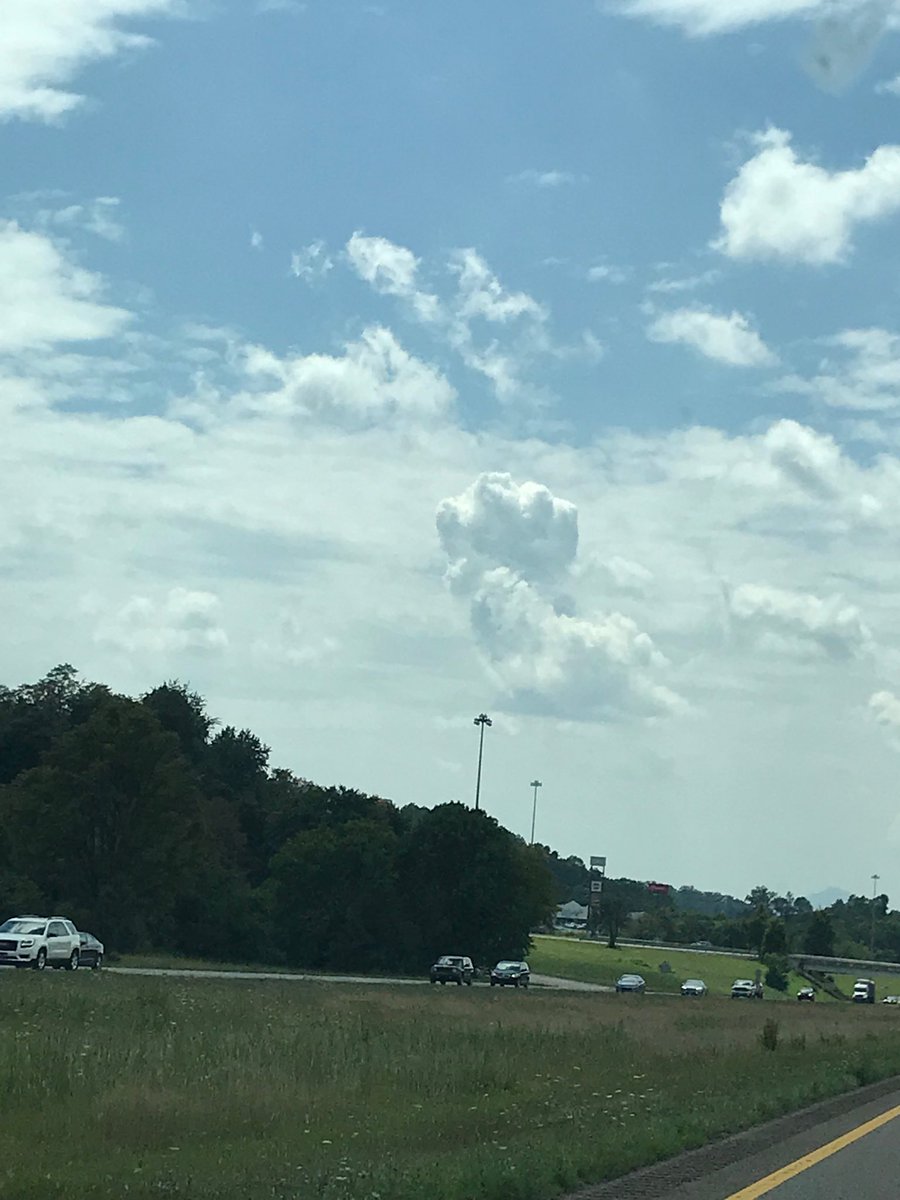 michelle lister (tennessee81girl) Twitter