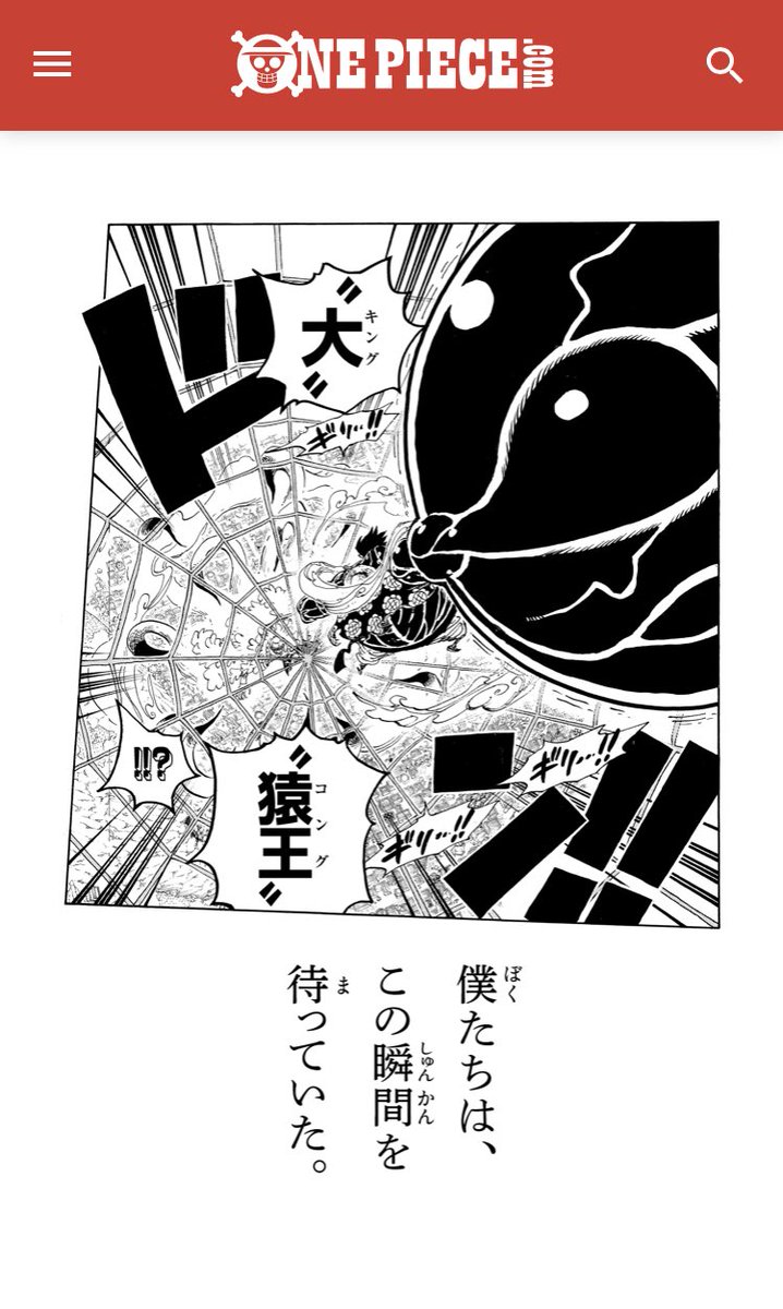 このワンピコピーにやられた