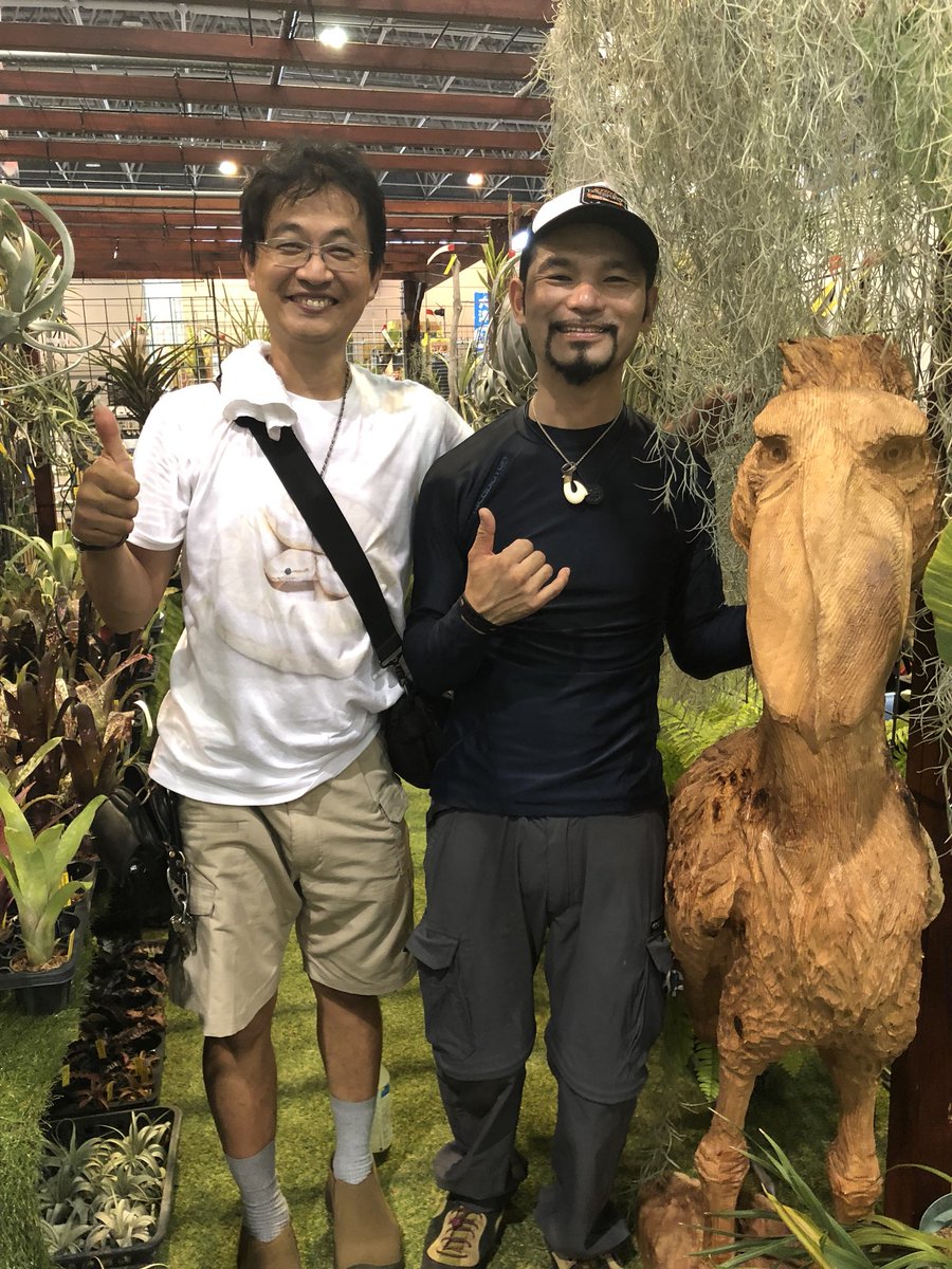 KBromeliads's tweet photo. チェーンソーアーティスト カルロス サトケン さんに2月にオーダーしたハシビロコウのチェーンソーカービング 完成 ❣️ ジャパンレプタイルズショー 夏レプで展示いたしております。素晴らしい作品です。
#showbill
#balaenicepsrex
#monsterspeedcarving
#carlossatoken https://t.co/d7ocIAmsjL