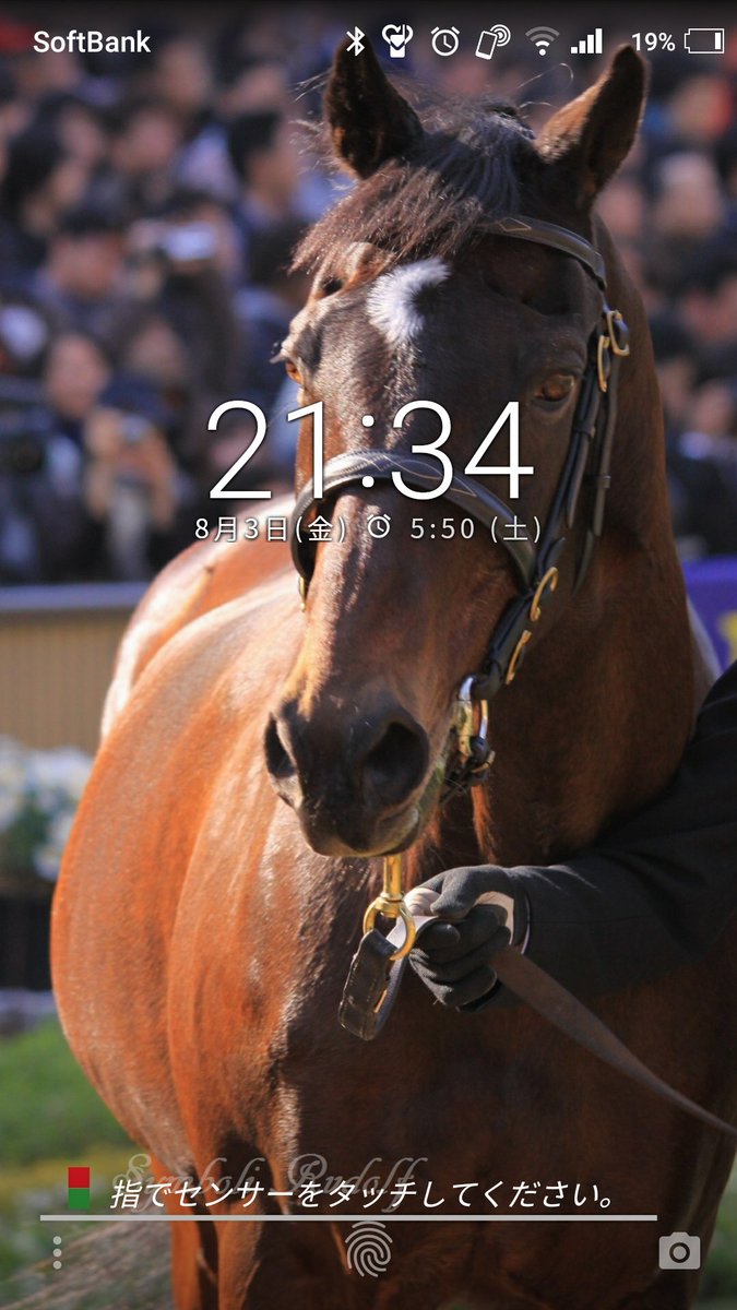 트위터의 Ojcのミッド 5 23優駿牝馬 オークス 님 そのうちまた 馬待ち受け作ろうと思います たしかそれのハッシュタグもあったと思うので ちなみにこれはシンボリルドルフ様ね ロック画面を晒せば趣味が分かるらしい 트위터의 Ojcのミッド 5 23優駿牝馬 オークス 님 そのうちまた 馬待ち受け作ろうと思います たしかそれのハッシュタグもあったと思うので ちなみにこれはシンボリルドルフ様ね ロック画面を晒せば趣味が分かるらしい