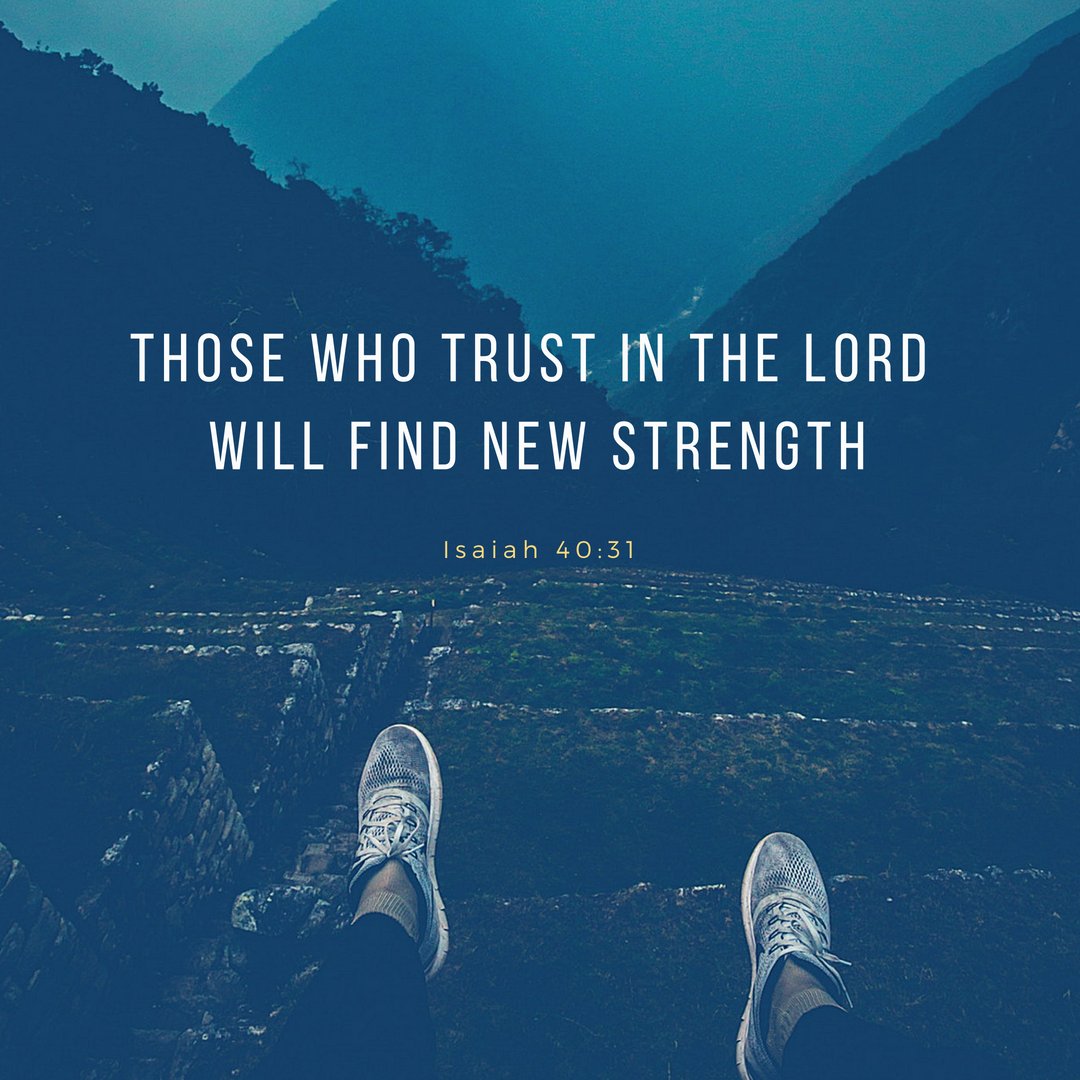 WillowCreekCL's tweet image. Those who trust in the Lord will find new strength.
They will soar high on wings like eagles.
They will run and not grow weary.
They will walk and not faint.
Isaiah 40:31

#TrustInGod #HeIsAble