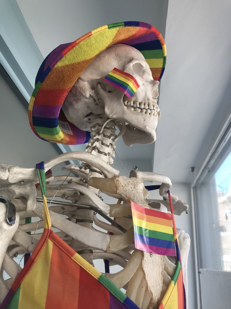 Mortimer is ready for the weekend &amp; is already feeling all the love, acceptance &amp; unity in Brighton 😍Happy Pride weekend folks!🌈☀️🌈 #BrightonPride