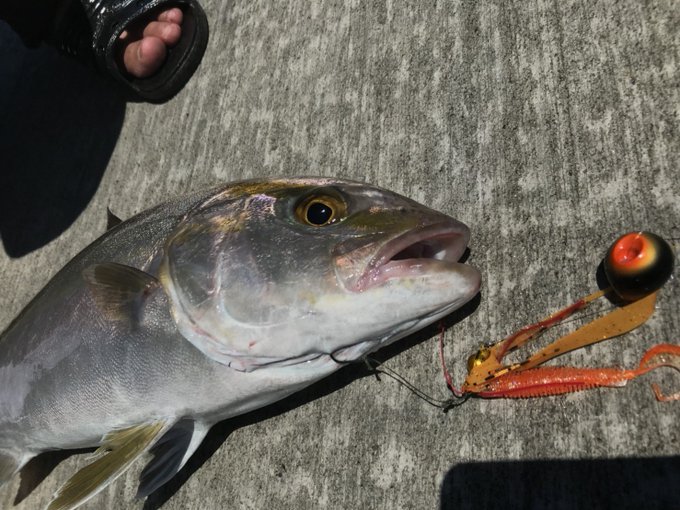 釣り具 話題のショアタイラバ ショアラバ おすすめ ベスト３ 海釣り Jp 海釣り Jp 筏釣り 磯釣り ジギング エギング釣り情報