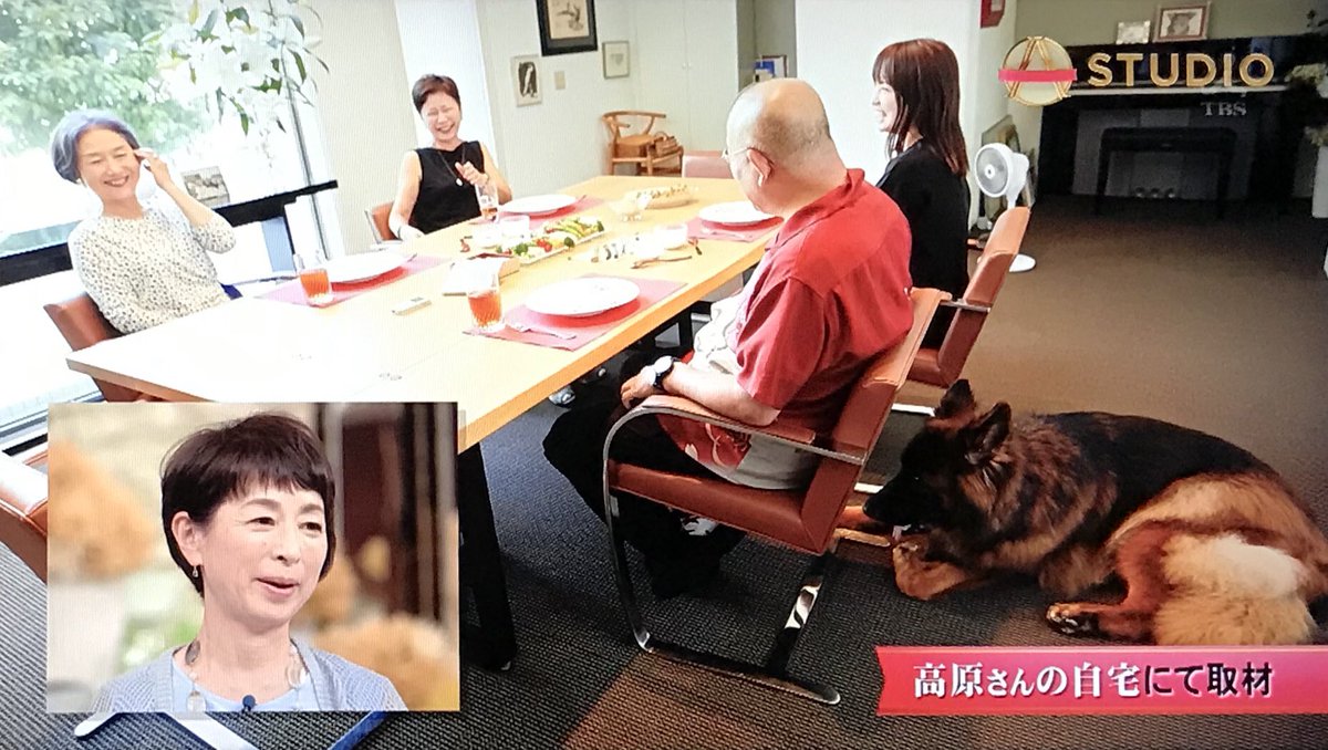 ごりぽん 22時22分は川栄タイム この後２３時からはa Studio ゲストは高橋尚子さん 画像は先週のもの 阿川佐和子さん良い方でした 川栄李奈 川栄タイム Astudio