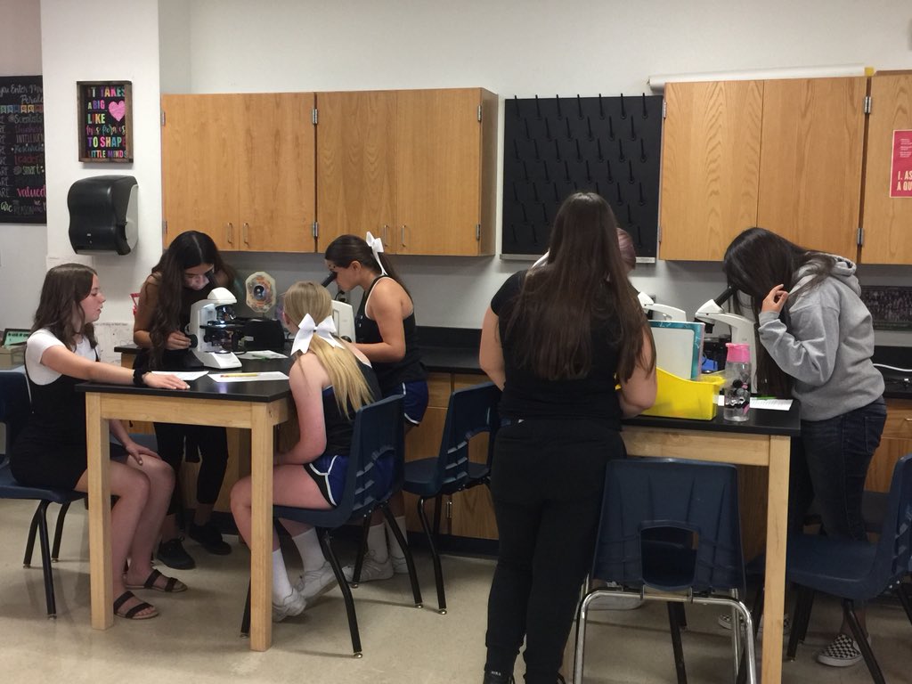 cbperales710's tweet image. Honors Bio students were excited to get started with working with microscopes today #scienceeducation #microscopelab #santanfoothillshighschool #honorsbio