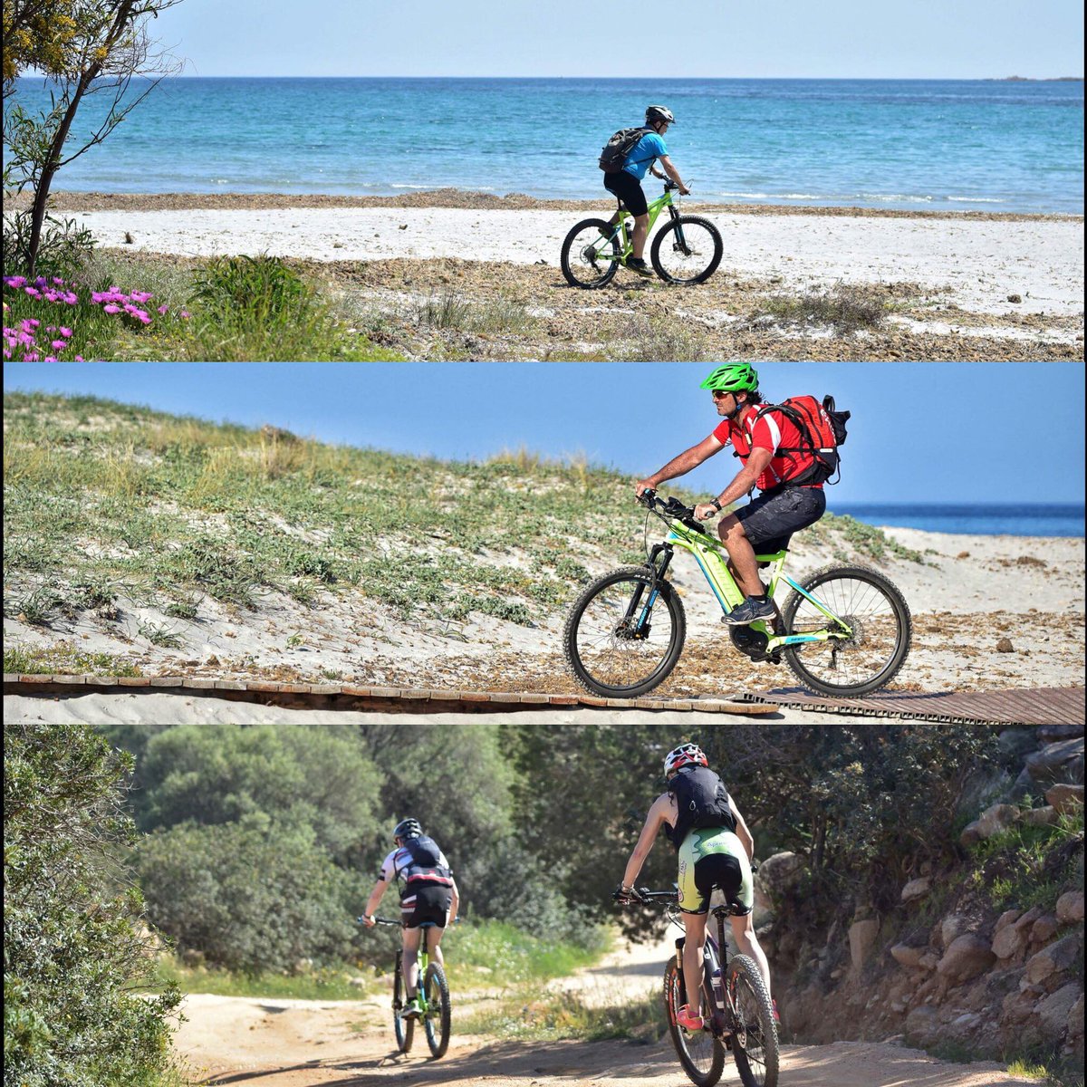 Portale Sardegna tweet media