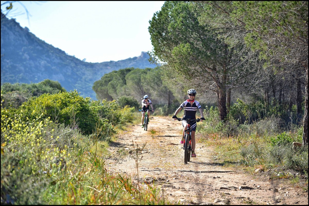 Portale Sardegna tweet media