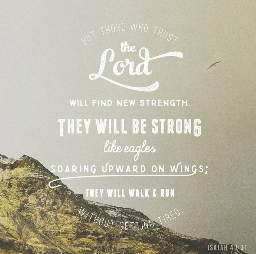 Have a blessed day!