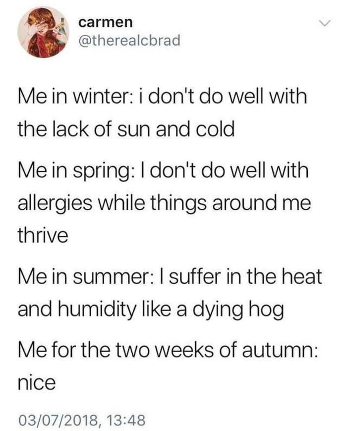 HumorCast's tweet image. #summer #hot #weather #funny