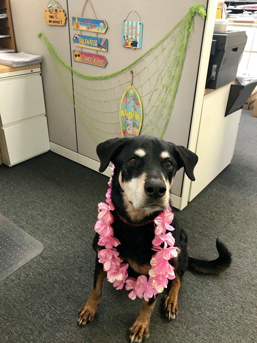 Manncorp tweet media