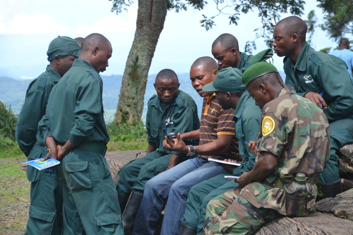 WCS RD Congo tweet media