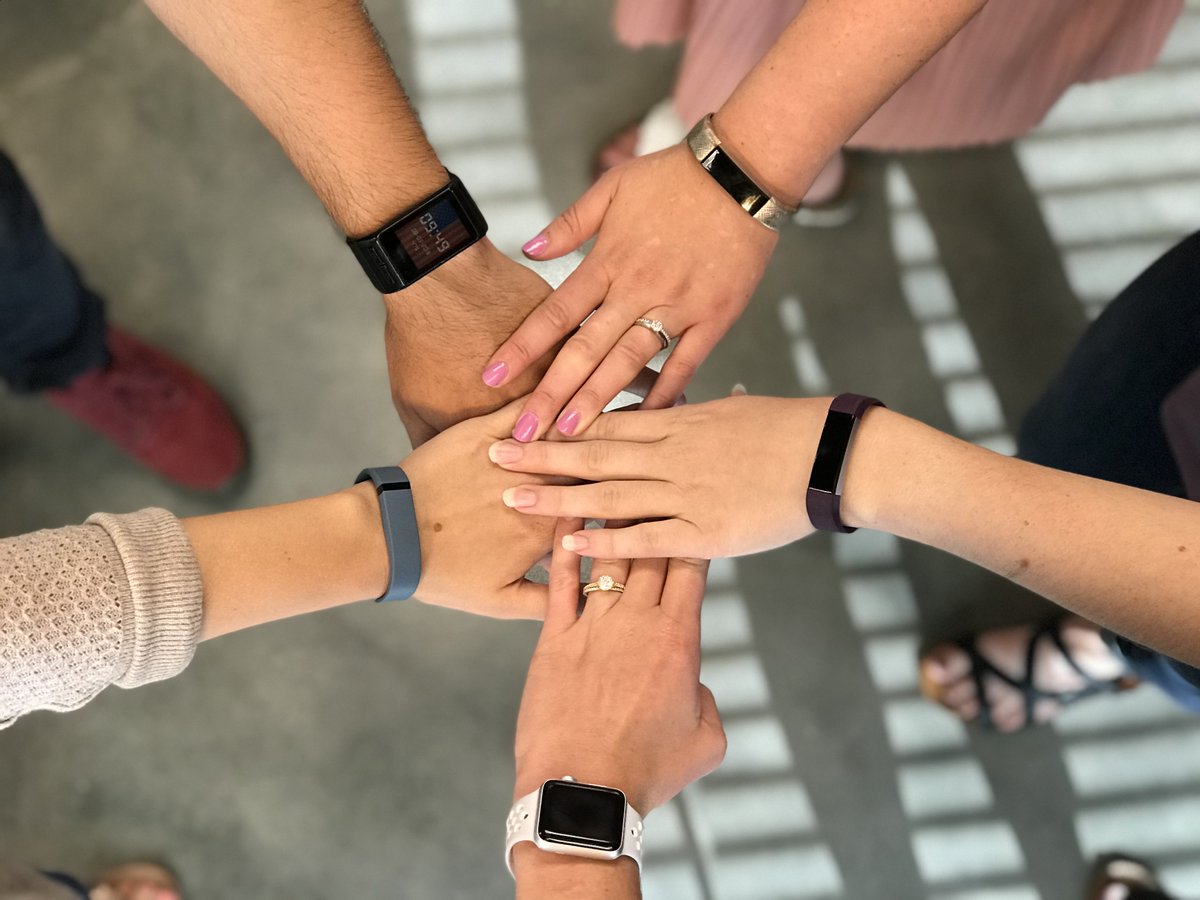 teamzipie's tweet photo. And so begins our Zipie Summer Step Challenge. We're a competitive bunch so this may not end well...#stridekick #stepchallenege #agencylife #officerivalry #fitbit #applewatch https://t.co/ycssIrE7wf