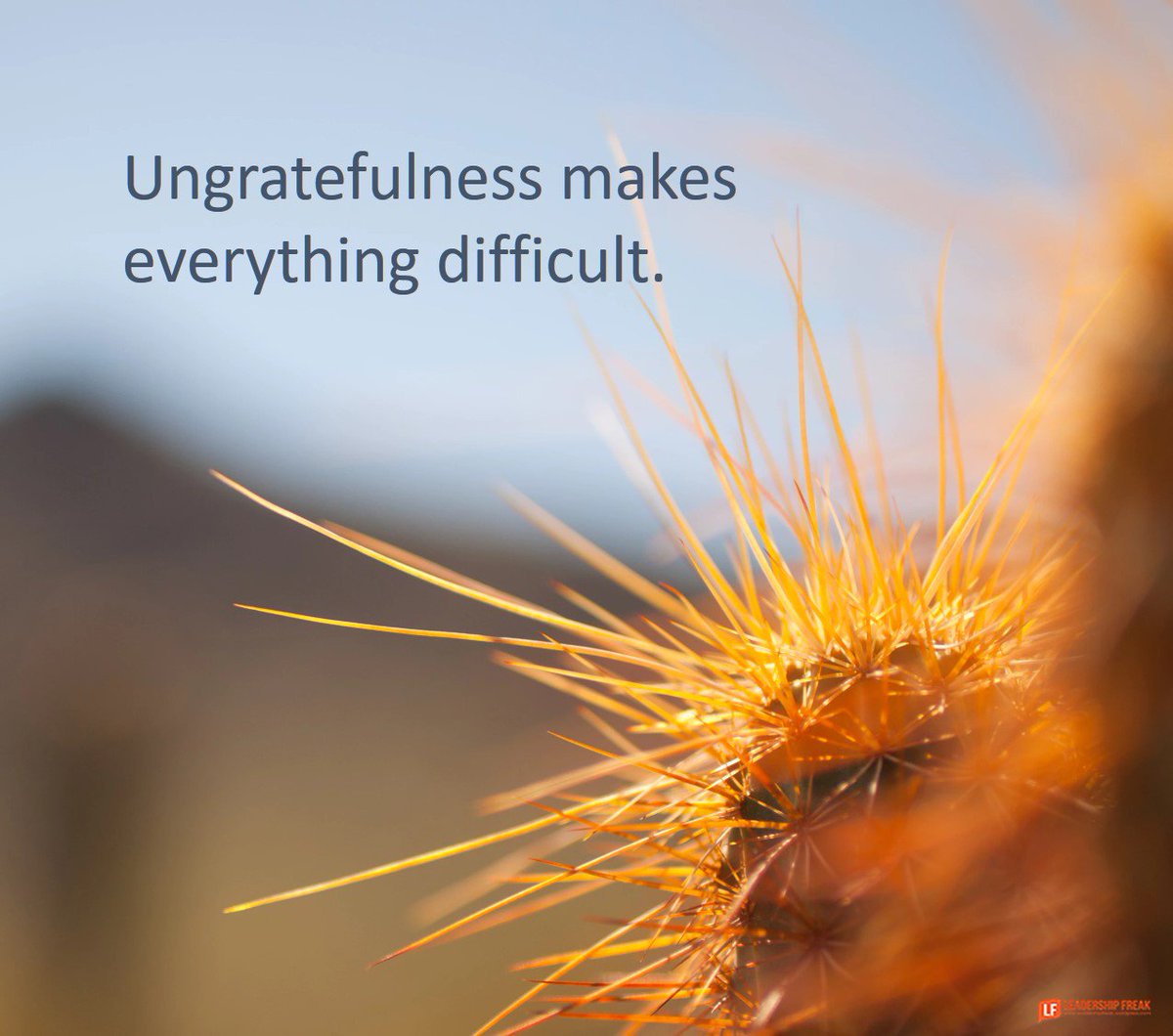 3 Dangers of Ingratitude:

1. Missed opportunity. Ungratefulness focuses on the past.

2. Low energy.

3. Letting others think they're losers and you don't trust them.

Everything is easier with gratitude.

bit.ly/2IqfS9a

#leadership 
#LFreakpost