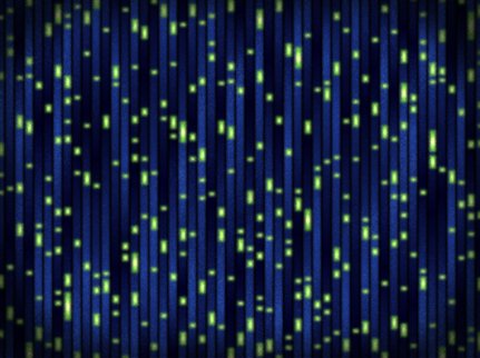 InfoVitares's tweet photo. The best strategy against #cancer is to play in advance!
The #PrecancerAtlas (PCA) of the @theNCI was established to provide a detailed molecular, cellular and structural characterization of pre-cancerous lesions and to monitor their transition to malignant tumors. https://t.co/OtRJMrdO8O