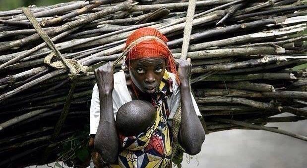 221Troll's tweet photo. << si la richesse etait le résultat inévitable de travail acharné et de l'entreprise . Chaque femme en Afrique serait un millionnaire >> https://t.co/E8T6fcc2Sy