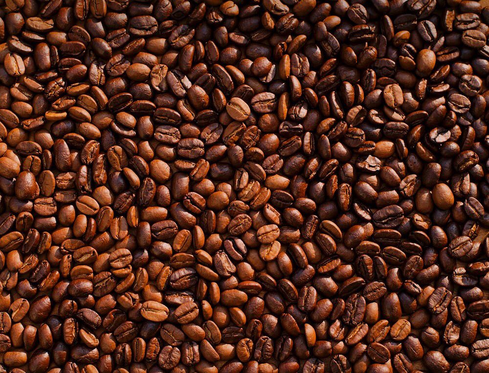 RedTreeCoffeeCo's tweet photo. Bean me up, Scotty! https://t.co/fNgIOv2H2c