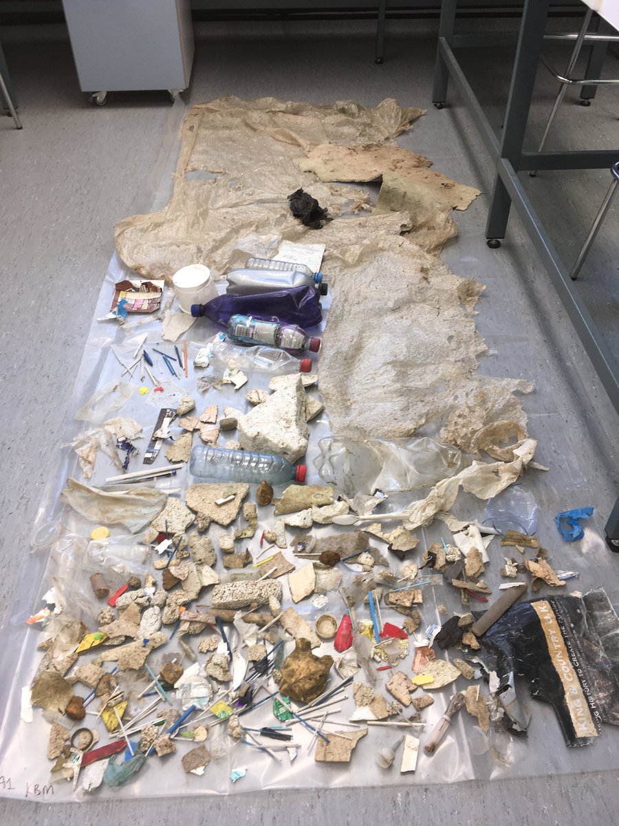 QMGeographyLabs's tweet image. @QMULGeography student Karolina Majchrowska is getting her hands dirty this year #quantifying waste from the #Thames. Rubbish collected from 1 square metre and rinsed, reveals plastic beads from cosmetics and loads of other #plasticPollution #BeatPlasticPollution