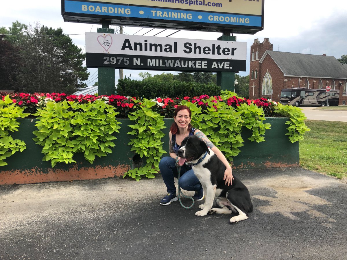 ac_heros's tweet photo. GISH 2018 @AdoptHeartland #adoptdontshop #GISHRescue #103 https://t.co/zfgY526jlt