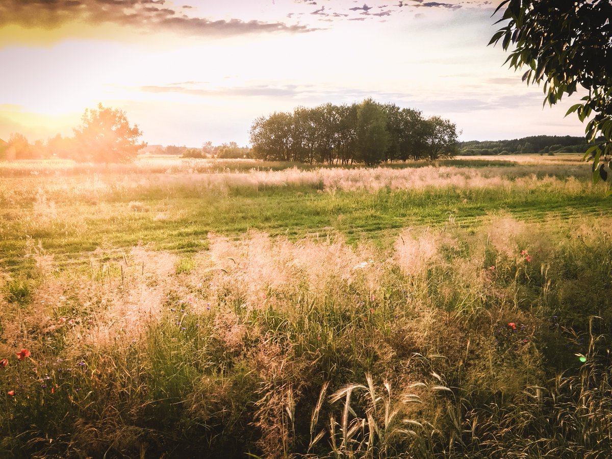 Nature is the best artist. Village near the #Katowice Airport, Poland.

#naturelovers #ttot #travelbloggers