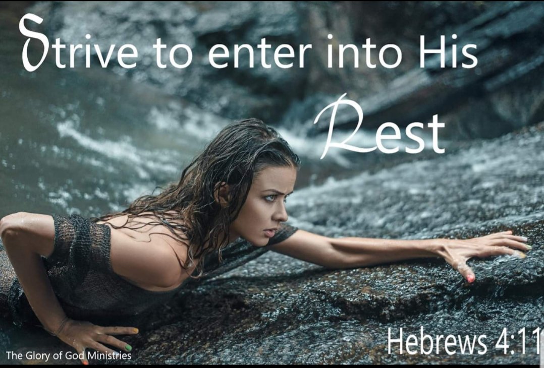 TheGloryofGodM's tweet photo. Hebrews 4:11 - "So let us do our best to enter that rest."
#StriveToEnterIntoHisRest
#StriveToMaintainPeace
#TheDevilIsDefeated https://t.co/pbLGc6CFCR