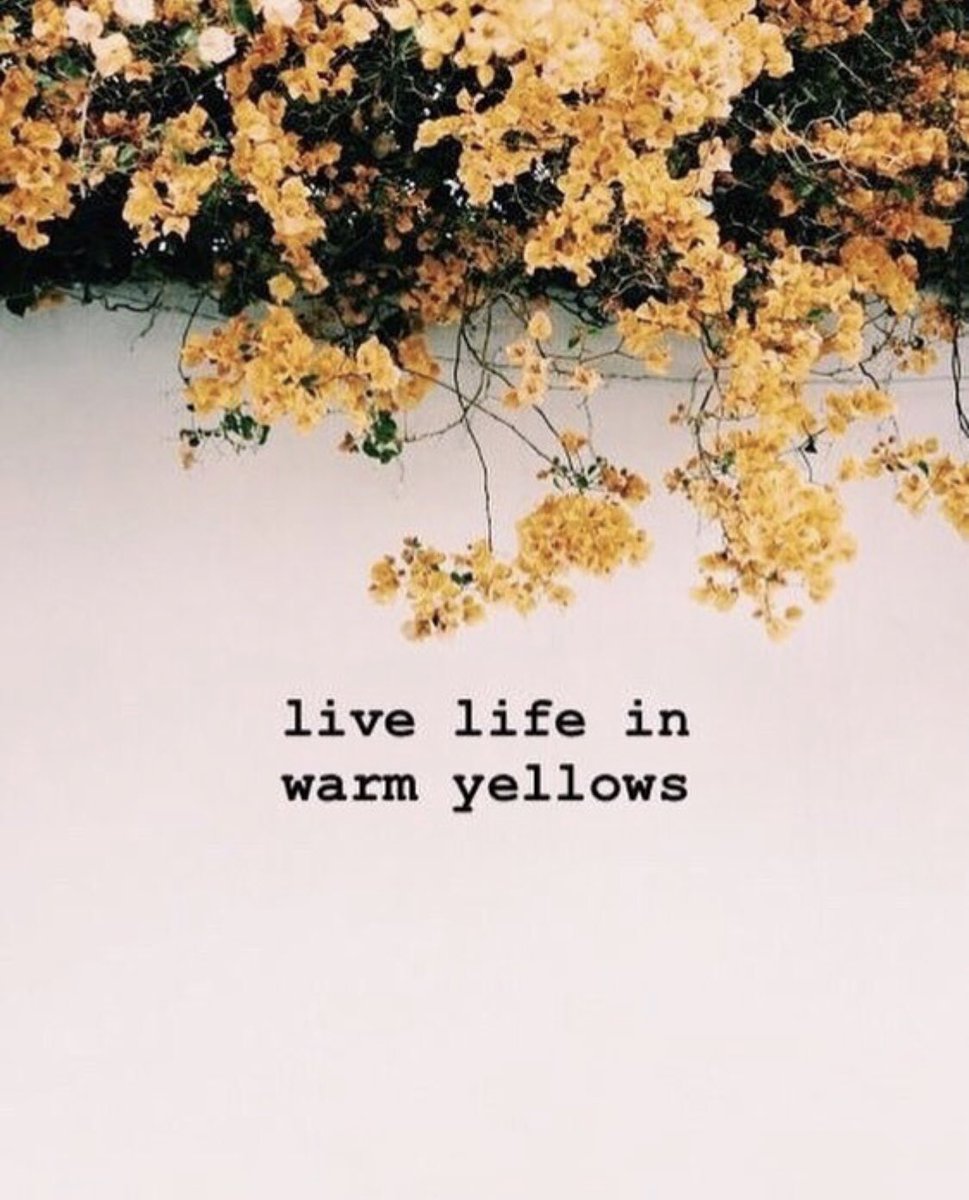 basicbthelabel's tweet photo. August, we’re ready for ya ☀️🍯✨💛⚜️ https://t.co/Nl9W4vH1Fn #basicbthelabel #basicbabes #august #yellowvibes https://t.co/mSNbhF4RNo