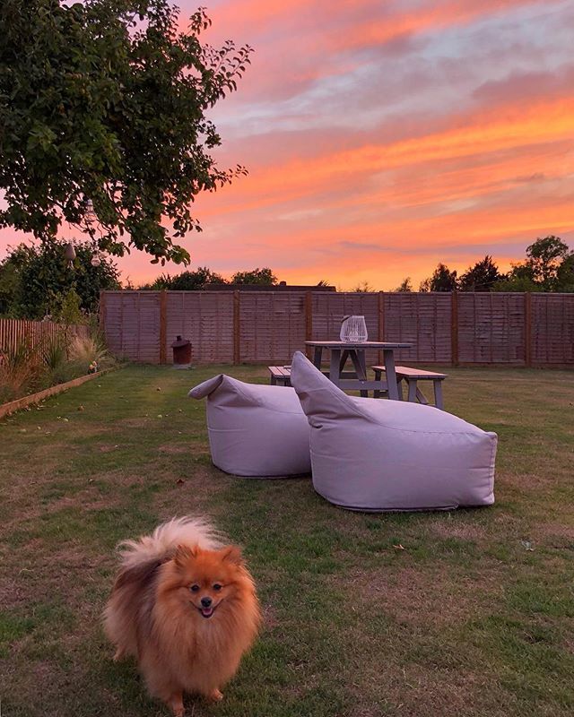 sarahfw40's tweet photo. Epic sunset in the garden tonight! 😍
•
•
•
#sunsetuk #uksunset #sunsethour #essexsunset #essex #essexlife #essexbloggers #sunsetvibes #pinkskyatnight #beautifulsunset #mybritainwithlove #postcardsofmylife #specialmoments #momentscaptured #thesweetlif… https://t.co/e6SNvlV5k8 https://t.co/lDHlsTFa0N