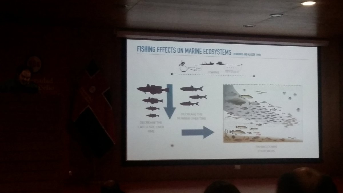 Brian Hayden tweet media