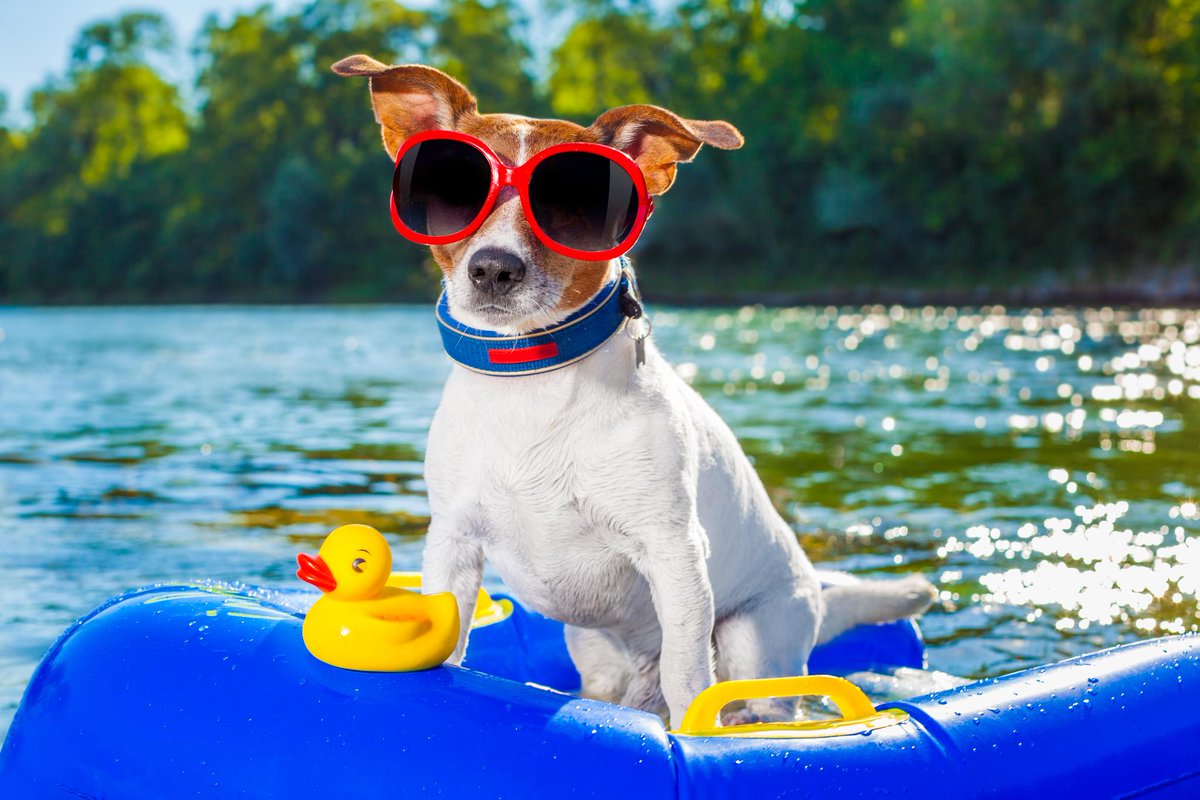 AirtechLeth's tweet photo. Airtech will be closed August 6th. 

Please call 403 327 8324 for any of your emergency needs. 

Happy long weekend! https://t.co/z89x8XtzK3