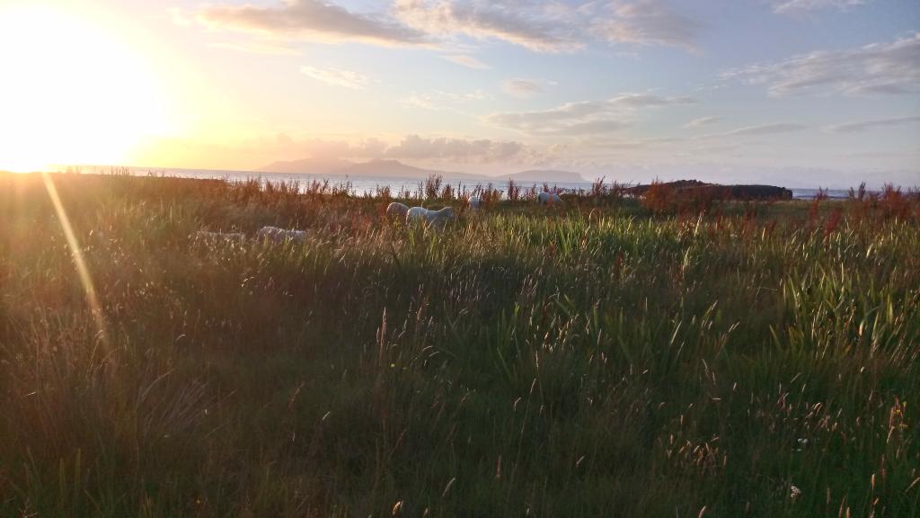 VicAGreen162's tweet photo. Three weeks of great #archaeology and great beaches over!! It's flown by and I can't wait to be back next year in beautiful #ardnamurchan @atparc https://t.co/smsa0AoLBn
