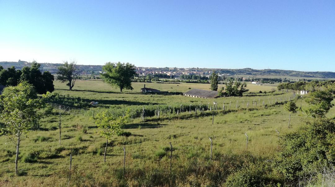 A la derecha de la carretera N-403 se encontraba el aeródromo militar "Cruz de los Llanos", antiguo campo de aviación franquista durante la Guerra Civil. Fue utilizado por la Legión Cóndor, conocida por ser la autora del bombardeo de Guernica.
¡#HastaMañana!

📸 <a href="/Isabelmartinj/">Isabel Martín J.🌿</a>