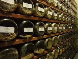 Хранить семена зимой. Способы хранения семян. Хранение семян зимой. Организация хранения пакетиков с семенами. Хранить семена зимой.