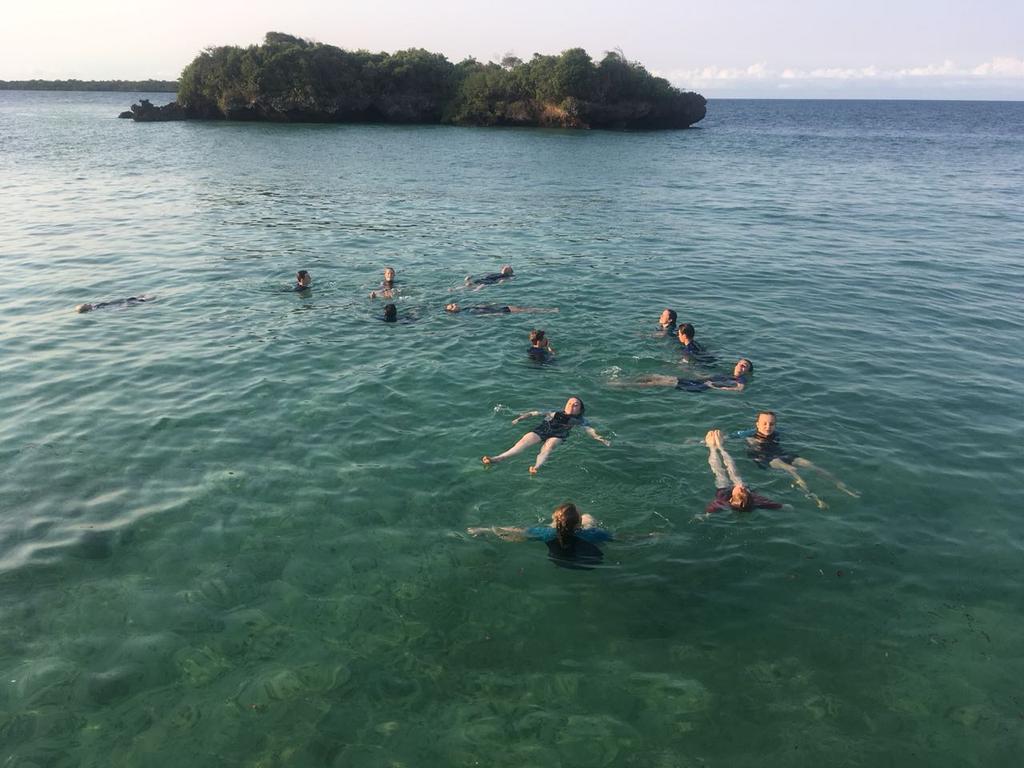 camptanzania's tweet photo. PADI practicals in progress and everyone is impressed #teamkomba @CampsInt https://t.co/76rApU07UV