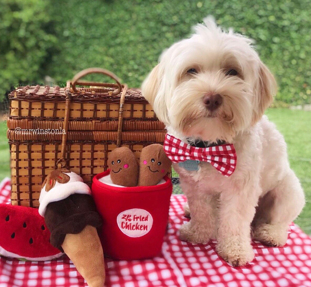 Happy #NationalWatermelonDay ! Happy FriYAY!