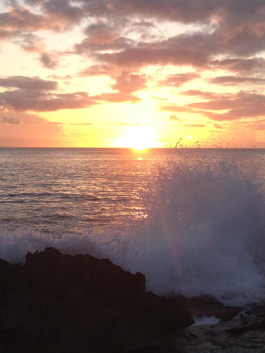 This is it-after 4 yrs running the <a href="/IolaniLSFabLab/">'Iolani LS FabLab</a> it's time to say goodbye. Our family is off to TX and I'll be teaching at a new school.
I'll post again when I'm settled and I'll post the new Iolani twitter too.
Aloha for now...
#makered
#elemaker

iolanik-6fablab.blogspot.com