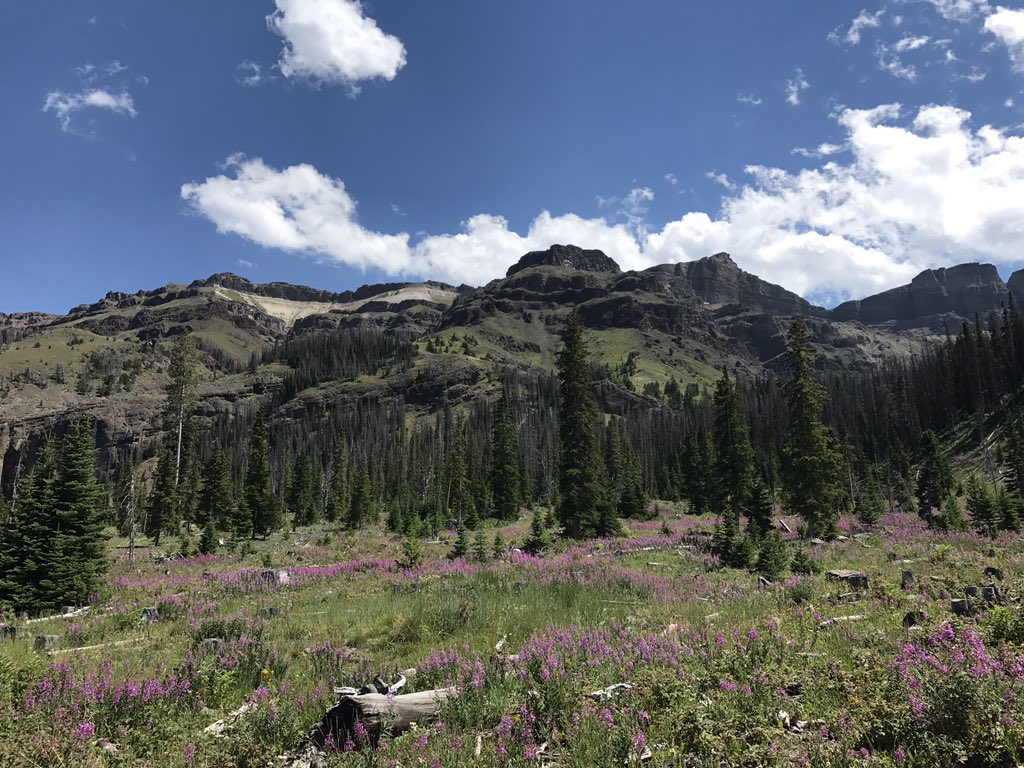 ingthingg's tweet photo. And that's a wrap on #fieldwork2018!! Lots of fossils and not a lot of bears so an A+ year for Carter Mtn! https://t.co/slAMUZRja2