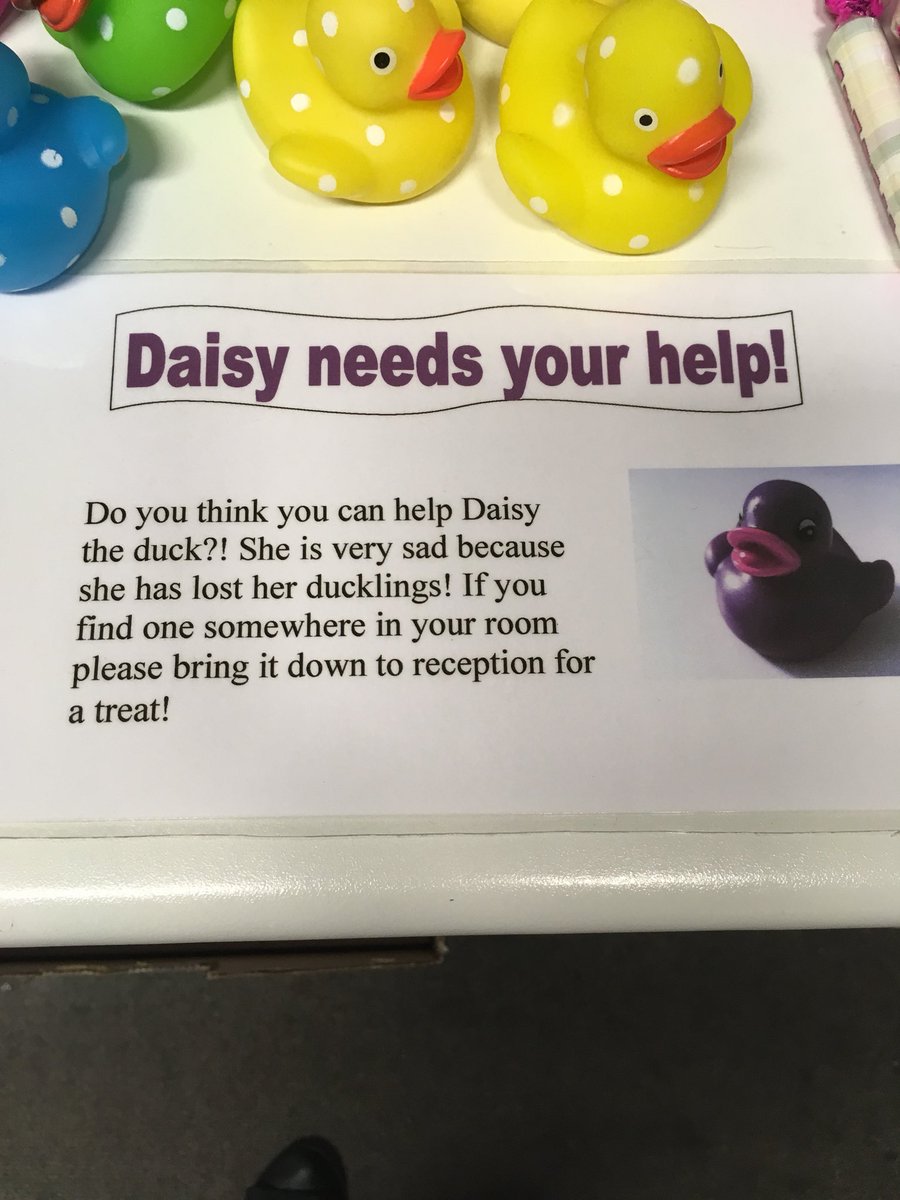 The ducks are back <a href="/PIOswestry/">Oswestry Premier Inn</a>... we will keep you updated on what they get up over the summer #SummerofService #familyfun #2ndmile <a href="/paulallancurtis/">Paul Curtis 💙</a> <a href="/placemadebyyou/">A Place Made By You</a> <a href="/RikkiQuinlan/">RQPI</a> <a href="/SDEBDD/">simon ewins</a>