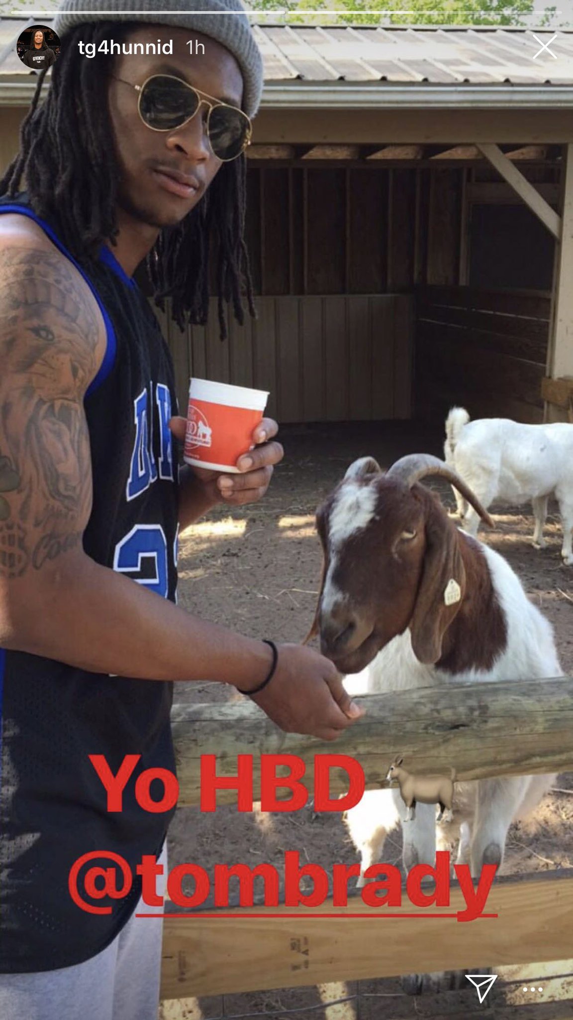 Todd Gurley\s happy birthday message to Tom Brady:  