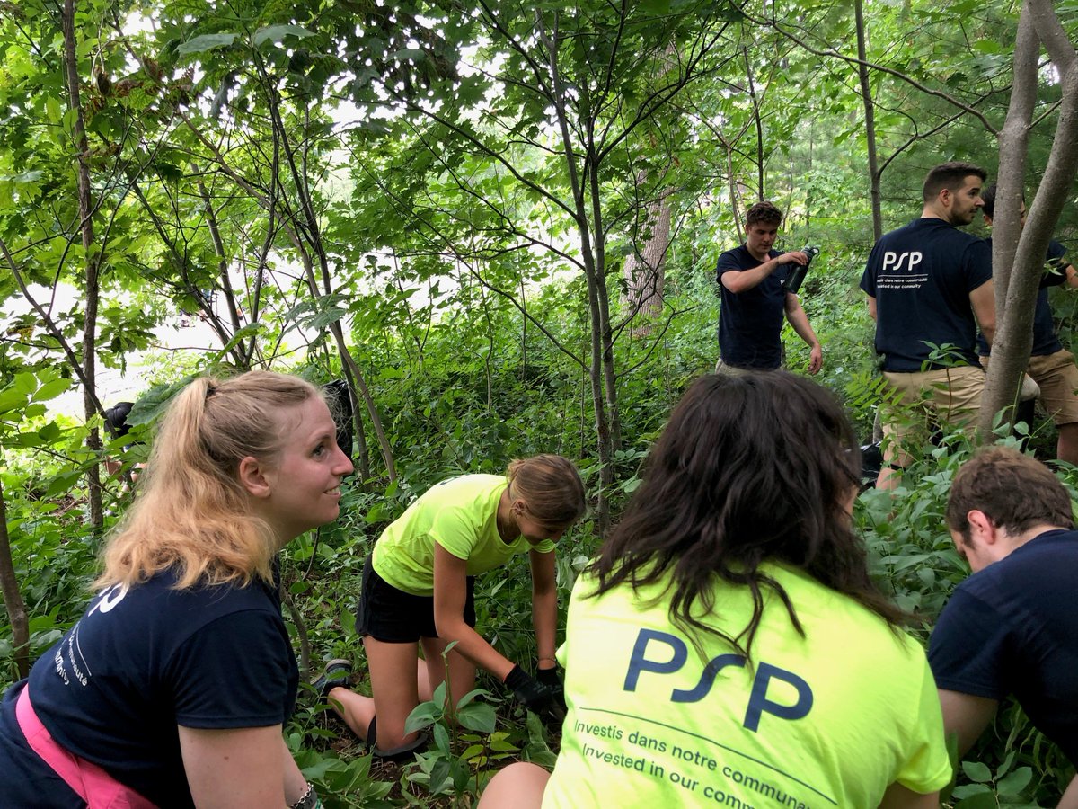 InvestPSP's tweet photo. Nos stagiaires de Montréal se sont rendus sur les collines de la ville pour désherber le Mont-Royal. Ils feront également une visite guidée et en apprendront davantage sur l'importance de la biodiversité. Bravo @ #NouvelleGénération de s’investir dans la communauté! #PSPsengage https://t.co/DwHE7Lv7oE