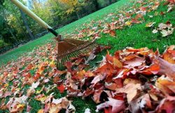 SOS_Property's tweet image. Fall Landscaping and Yard Maintenance
To everything there is a sea... 
sospropertysolutionsllc.com/?p=1670