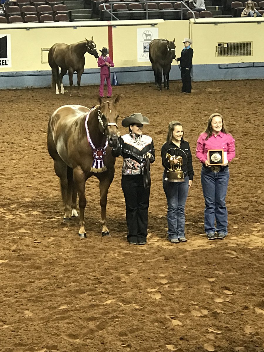 AQHYA's tweet photo. Your 3-Year-Old Mare World Champion is Squires Famous Doll shown by Kaylee Hamm! Congratulations!🏆 #AQHYAWorld #GetThatGlobe @FordTrucks https://t.co/6LDP6SZW7H