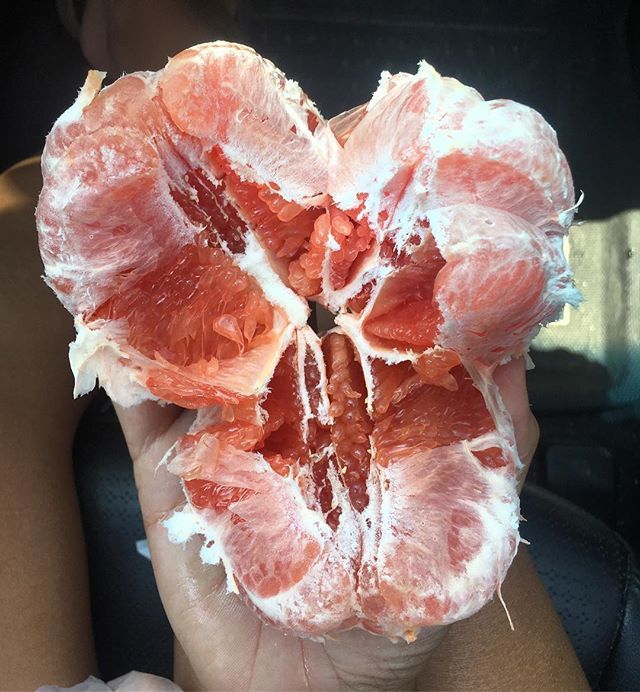 cabinatelier's tweet photo. Nobody sees a flower really; it is so small. We haven't time, and to see takes time - like to have a friend takes time ~ Georgia O'Keeffe.  Sitting outside Georgia O’Keeffe’s home in Abiquiu, NM, eating a grapefruit. https://t.co/574GRlBWMU https://t.co/wLw0Hu5Rhi